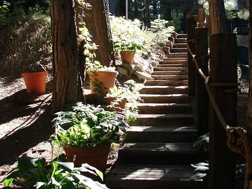 Elliott House Boutique Bed & Breakfast Shaver Lake